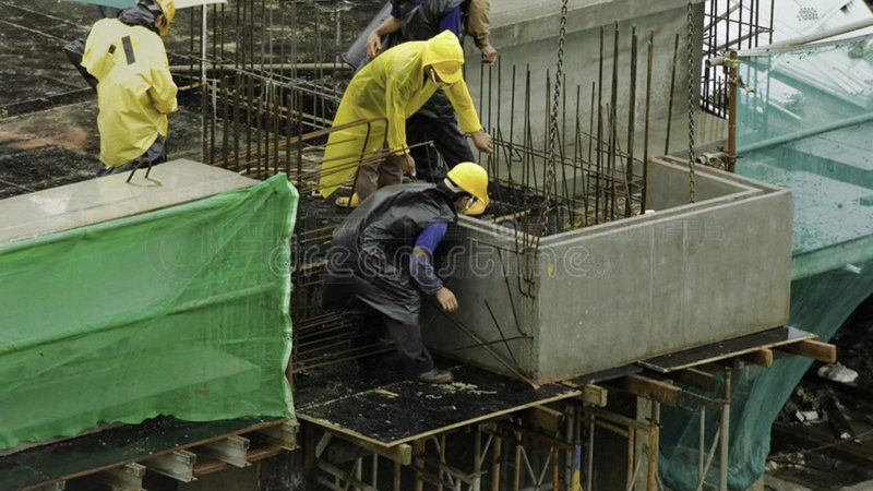 园林绿化预算编制，如何做到精准高效？**